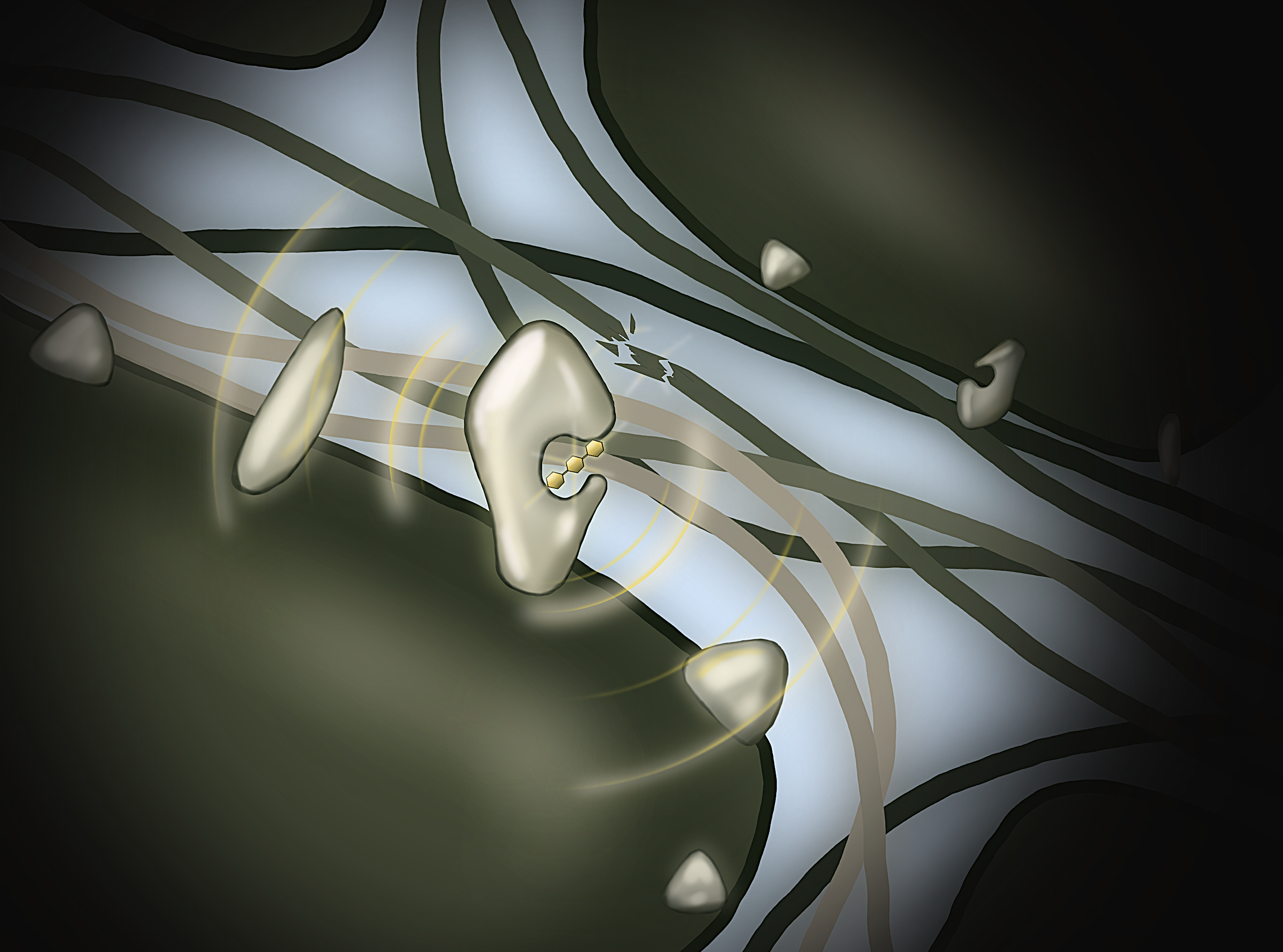Ilustración a mano de un receptor de membrana que atrapa un fragmento brillante de celulosa, una cadena de hexágonos dorados, y emite ondas concéntricas de alerta hacia los receptores vecinos