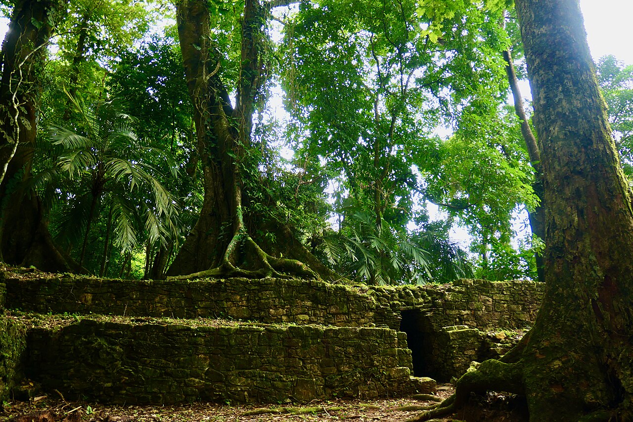 Raíces de árbol trepando sobre el muro de piedra de una estructura maya en Palenque
